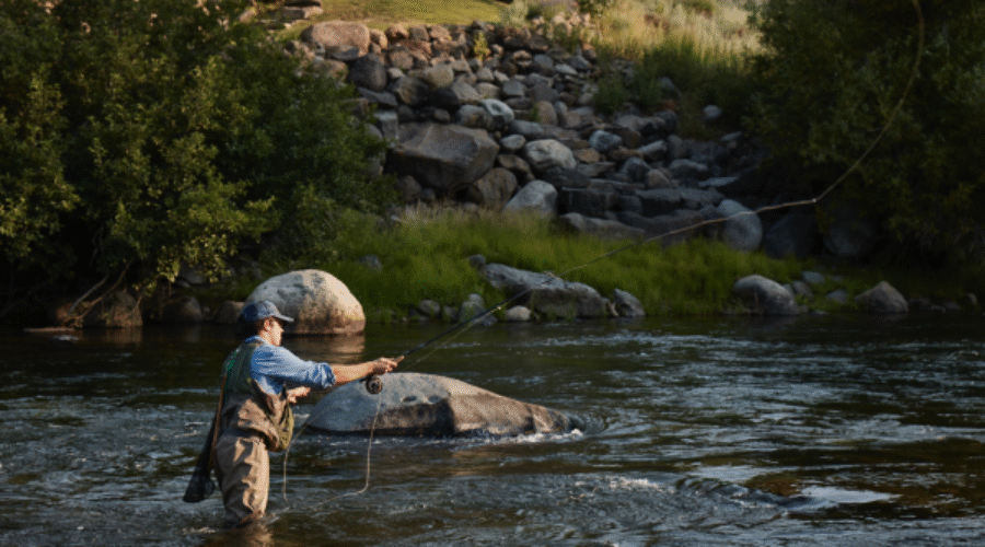 FISHING CHARTERS & FLY FISHING